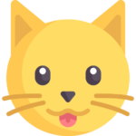 Kaķi